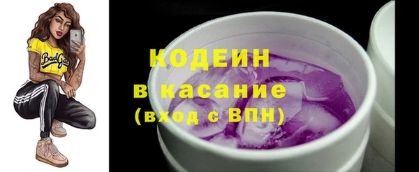 apvp Карпинск