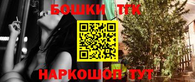 бошки Дубна