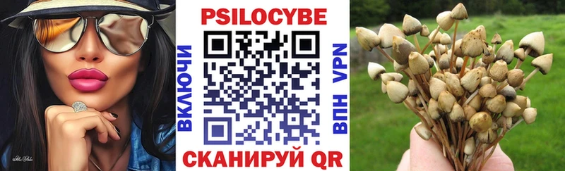 Галлюциногенные грибы Magic Shrooms  где купить   Клинцы 