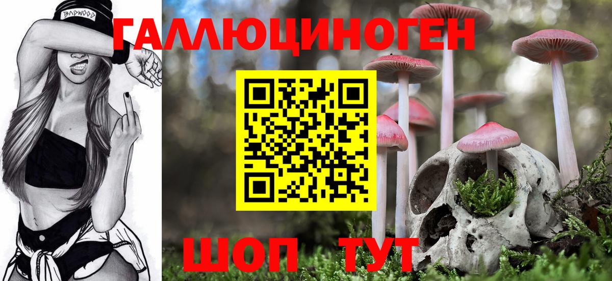 Галлюциногенные грибы Psilocybe Клинцы