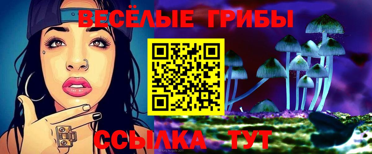 где можно купить наркотик  Псилоцибиновые грибы Psilocybe  Клинцы  Вход с VPN  Галлюциногенные грибы мухоморы 